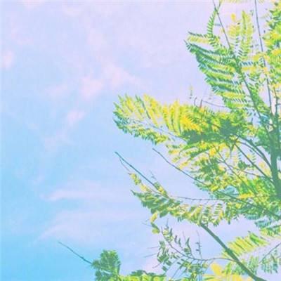 英雄别打脸手游下载